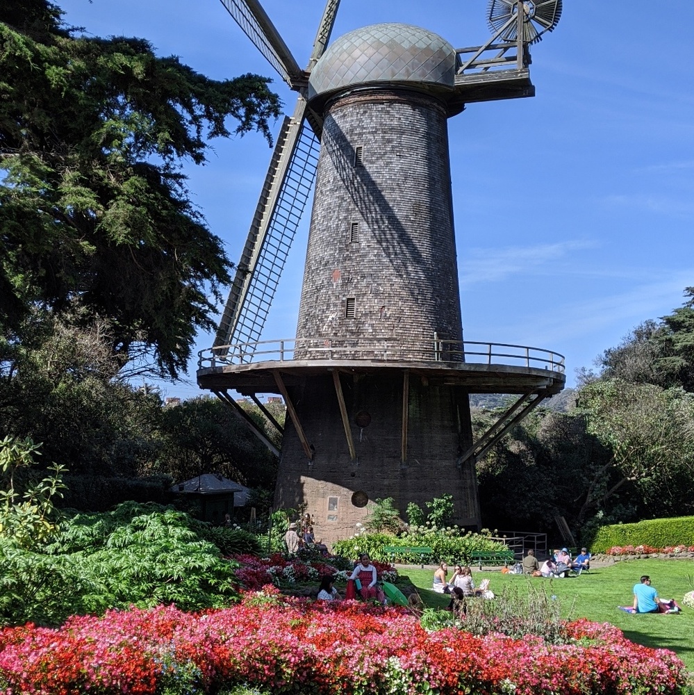 Meet your Posher, Mae